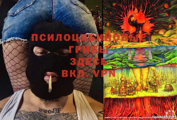 трава Арсеньев