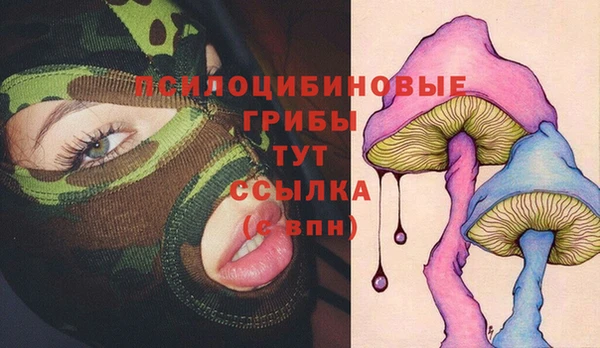 ПСИЛОЦИБИНОВЫЕ ГРИБЫ Аркадак