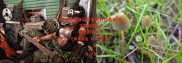 PSILOCYBIN Армянск
