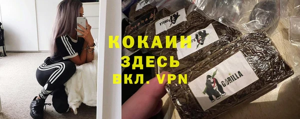 PSILOCYBIN Армянск